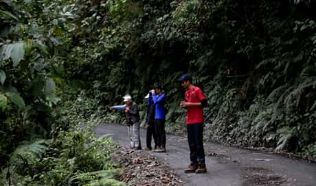 Walking along Manu Cloud Forest